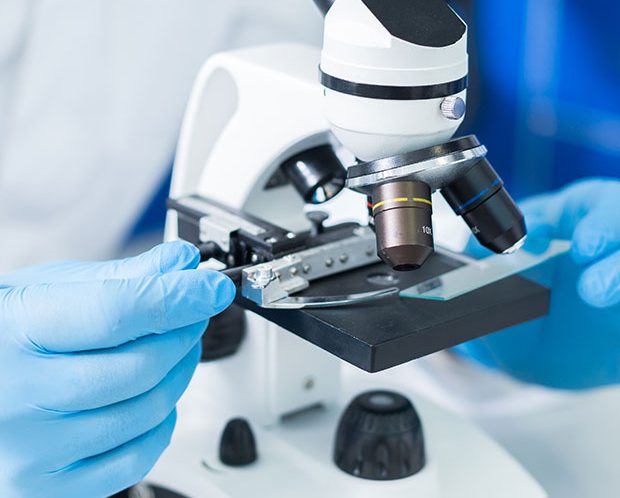 Laboratório Exame